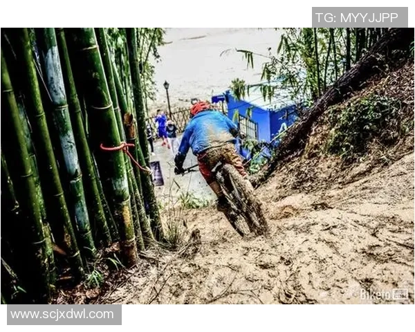 武汉极限运动队的反击之路与挑战成就的深度分析与思考